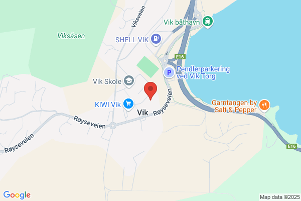 Vik Fysikalske Institutt