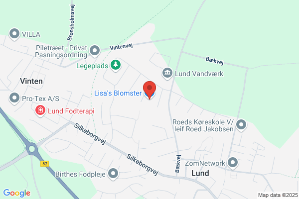Lise Blomster Sentrum