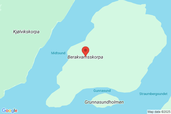 Berkevam Knut
