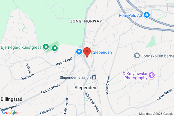 Austad Joar Og Nils-jørgen Mørk