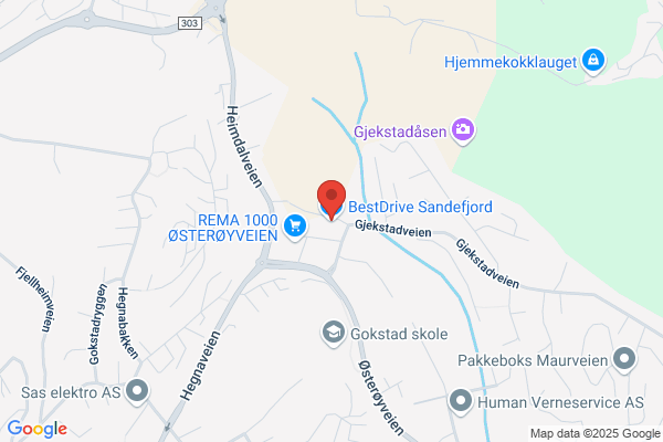 Dekkmann As
