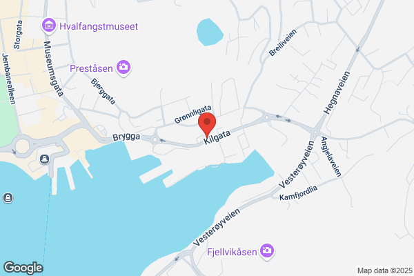 Karosseriservice A/s
