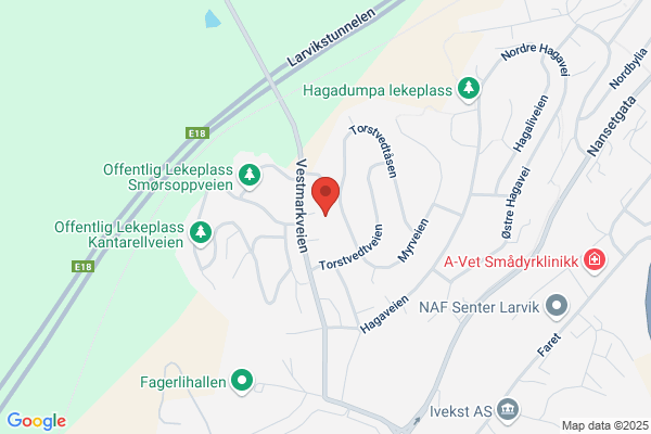 Dysleksiforeningen Sandefjord Og Larvik