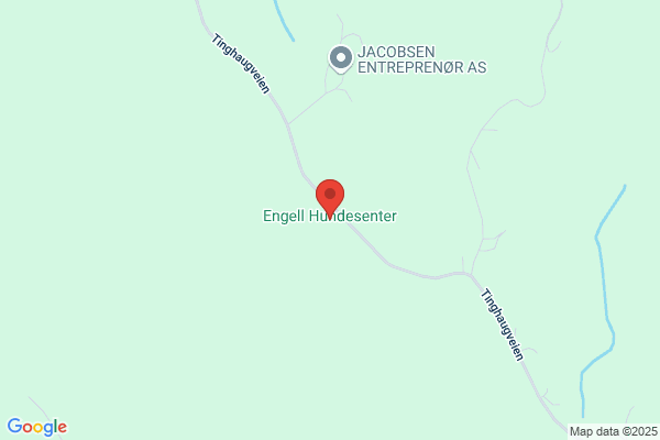Leik Hundeartikler Og Hundepensjonat