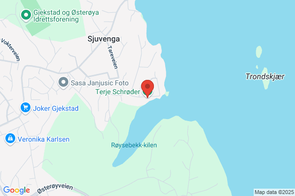 Strøm Terje