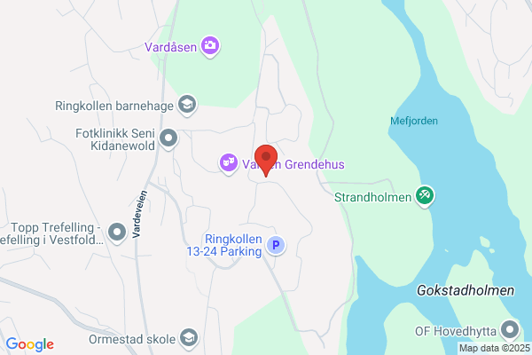 Gjøystdal Svein