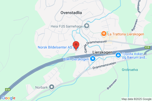 Bildelsenteret A/s