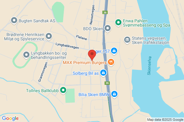 Høyer A L Skien A.s