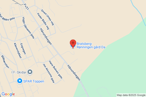 Møbeltapetserer'n