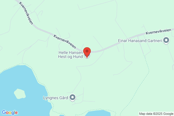 Ann Helen Olsen Hvite Hest