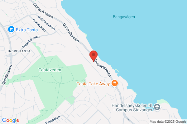 Rasmussen O Gunnar As