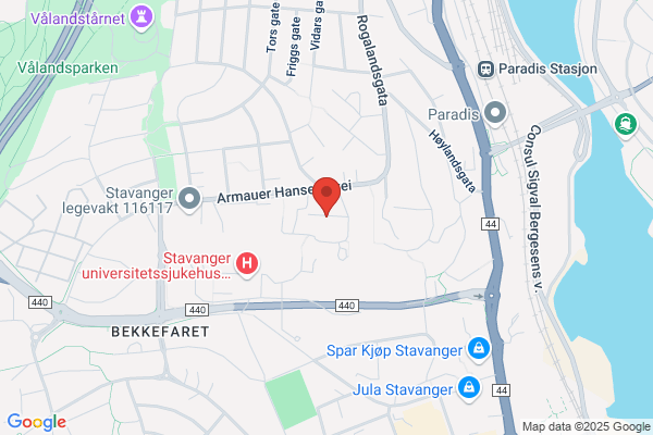 Forskningsstiftelsen Hjertelaget