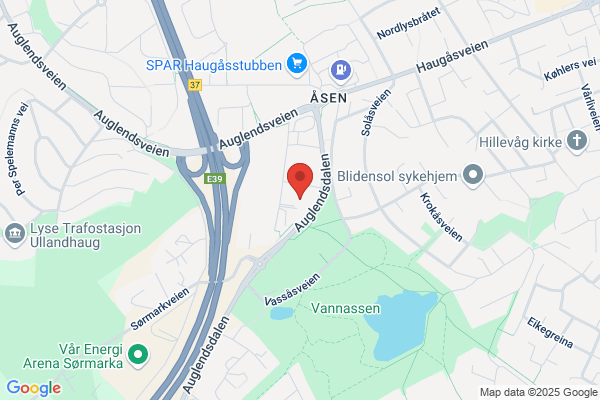 Hinna Dyreklinikk Kaja Stokstad