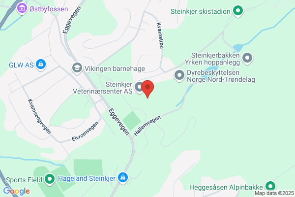 Global Midt-norge