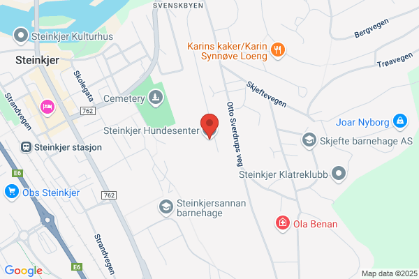 Steinkjer Hundeskole