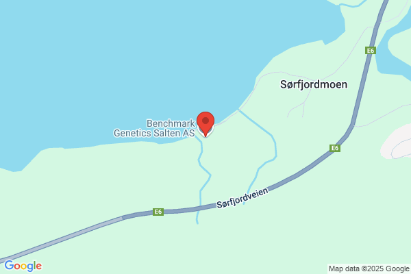 Shrimp Genetics As Norway