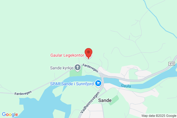 Kommunelegane i Gaular