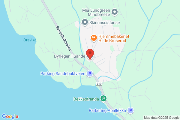 Dyrlegen i Sande