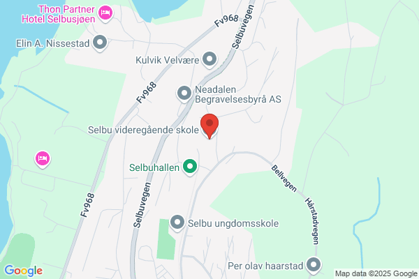 Selbu Videregående Skole