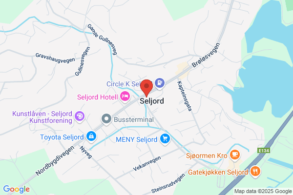 Elektropluss As