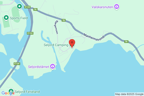 Seljord Camping Og Badeplass