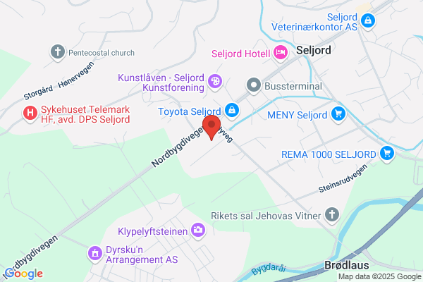 Seljord Rekneskaps-service A/s