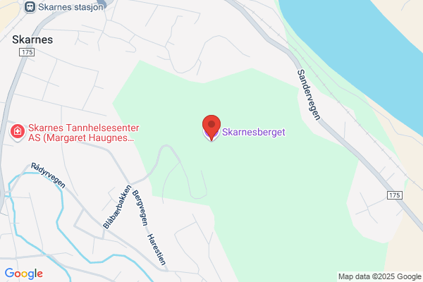 Berg G As