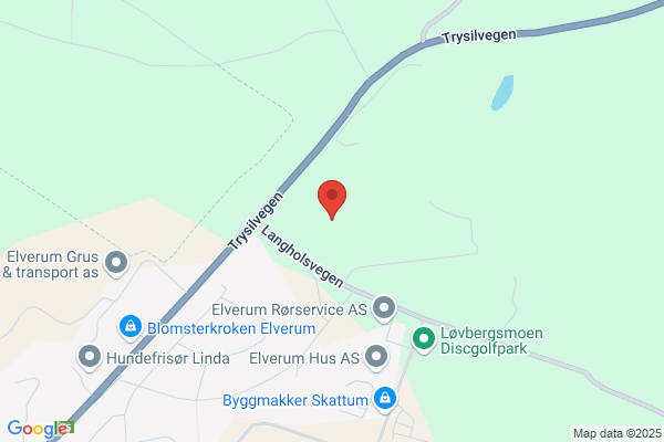 Elverum Bjørn