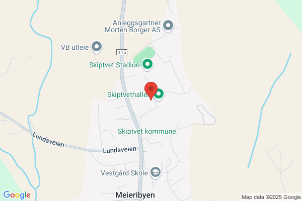 Veslum Svein