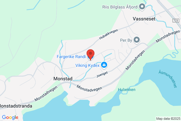 Randi Øie
