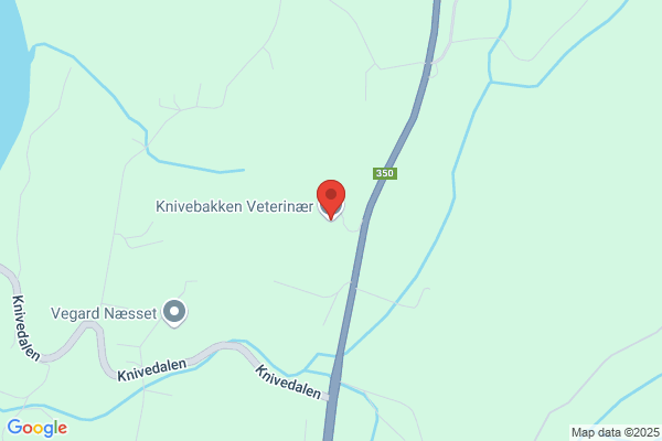 Eiker Veterinærkontor Torbjørn Jaran Knive