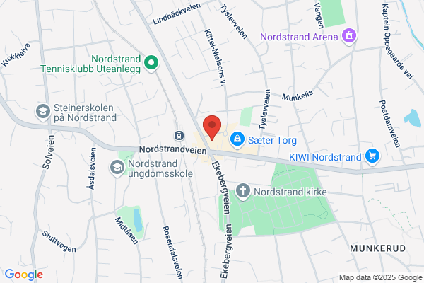 Snarøya Fysikalske Institutt