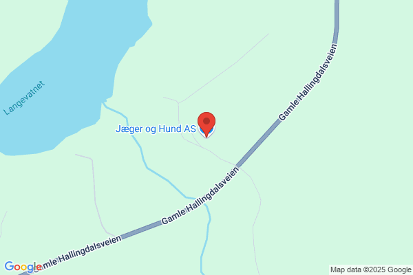 Jæger Og Hund