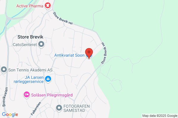 Antikvariat Soon