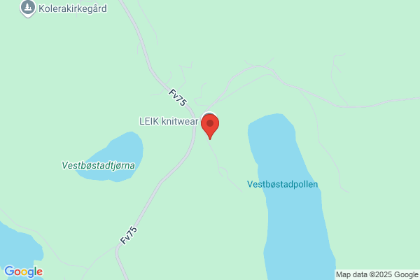 Stein Teknologi Og Utvikling