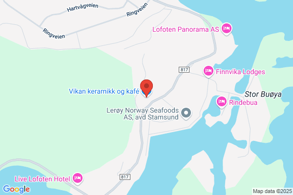 Vio Vikingstasjonenes Interesseorganisasjon
