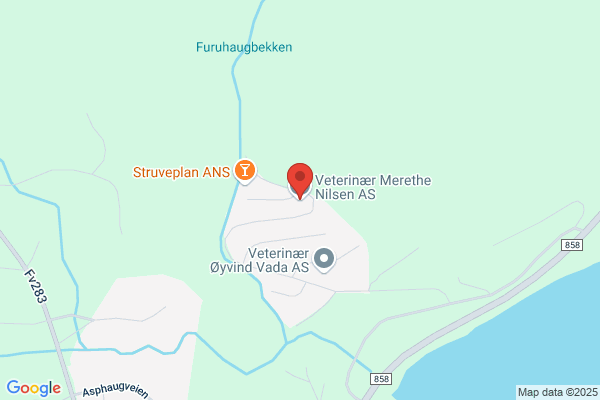 Veterinær Merethe Nilsen As