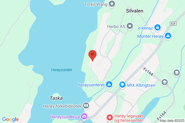 Pettersen Olaf As