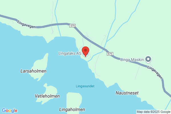 Lingalaks As