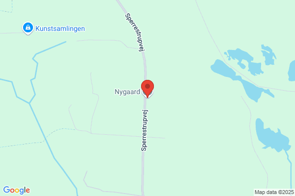 Nygaard Elin
