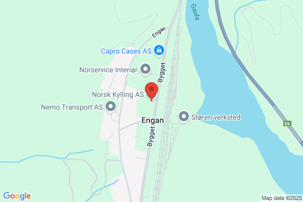 Norsk Kylling As