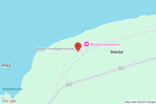 Bjerkly Hundepensjonat