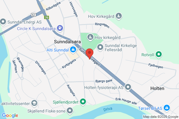 Husfliden