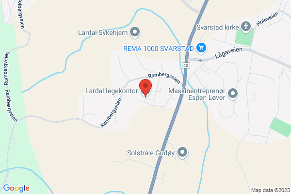 Kommunelegen I Lardal