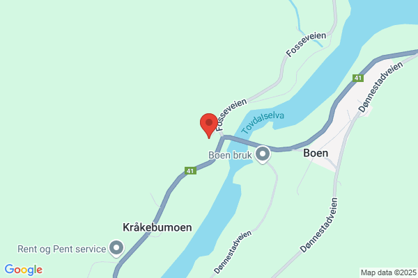 Larsen Takservice