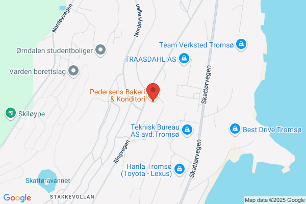 Pedersen Tore