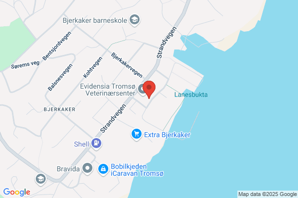 Norsk Lotteridrift Asa