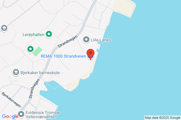 Rema 1000 Lanes