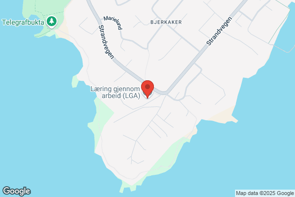 Læring Gjennom Arbeid (lga)