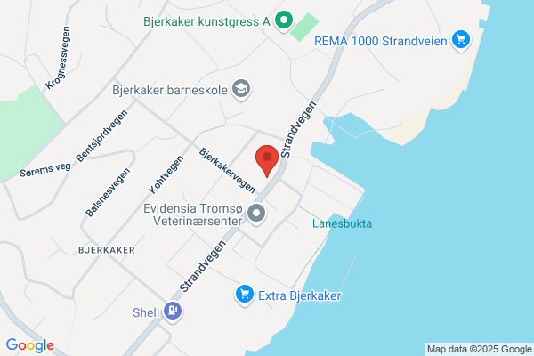 Haugland Regnskap